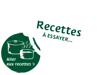 Recettes