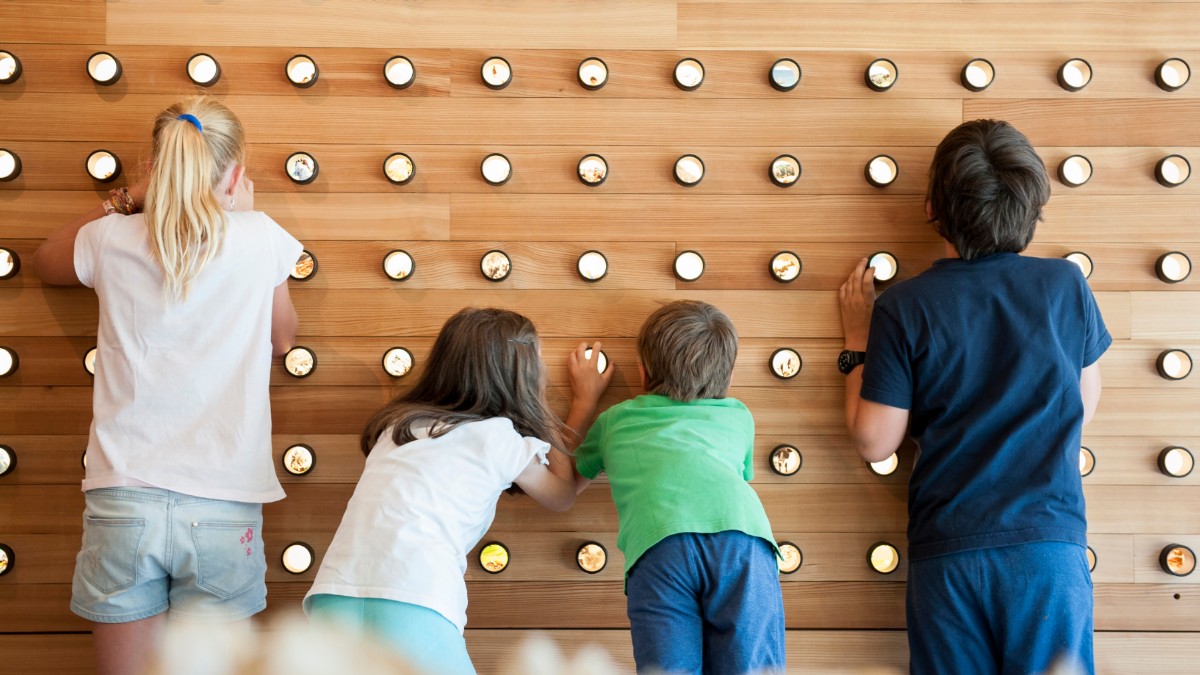 Mettiamo alla prova gli allievi dell’Alto Adige