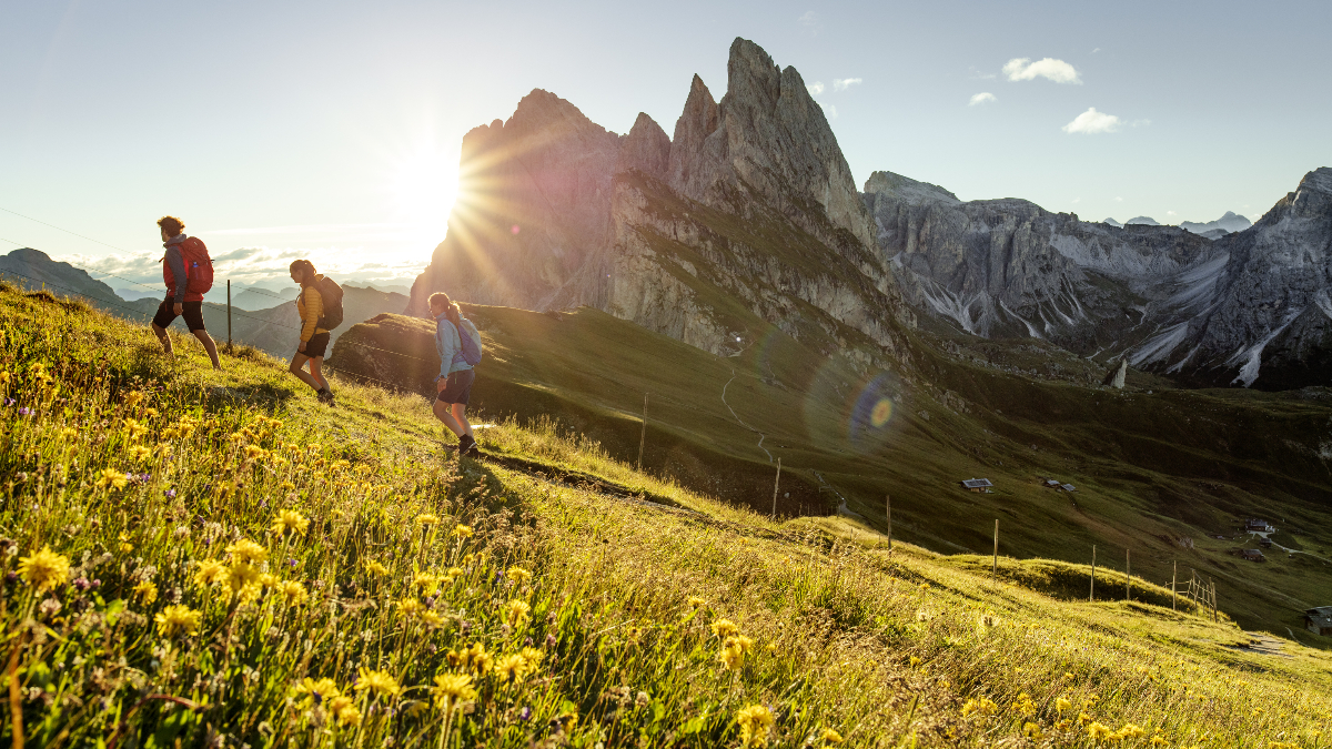 tre ragazzi fanno un'escursione in montagna